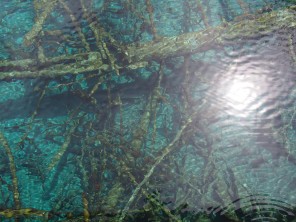 九寨溝@四川省九寨溝