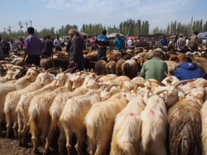 牛羊バザール@新疆ウイグル自治区カシュガル